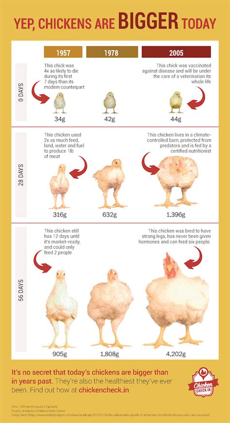 Should chicken be cooked to 165 or 180?